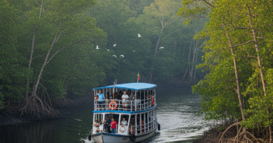 সুন্দরবনে বিদেশি নারী পর্যটকের মৃত্যু – কারমেল নোয়েলেনের শেষ ভ্রমণ