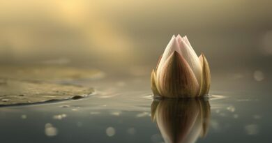 ইসির প্রতীক তালিকায় শাপলা কলি