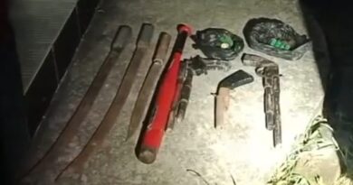 দেশীয় অস্ত্র