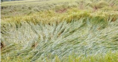 বৃষ্টি বলয় উত্তর বঙ্গে