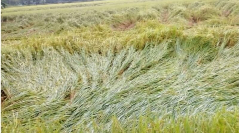 বৃষ্টি বলয় উত্তর বঙ্গে