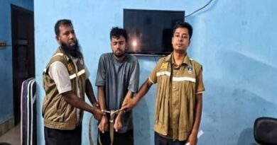 মাকে কুপিয়ে হত্যার ঘটনায় ছেলে গ্রেফতার